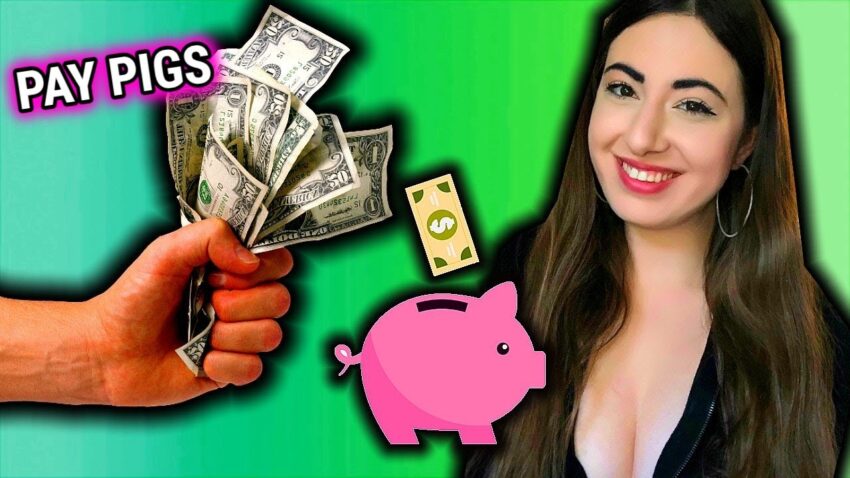 financial submission